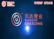 &#24320;&#20803;&#32593;&#39029;&#29256;&#95;&#24320;&#20803;&#40;&#20013;&#22269;&#41;